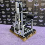 Cybex Back Extension & Abdominal Crunch Combo Machine – Total Core