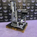 Cybex Back Extension & Abdominal Crunch Combo Machine – Total Core