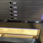 Bodymasters Overhead Tricep Extension- EXTREMELY RARE Bodymasters Overhead Tricep Extension- EXTREMELY RARE