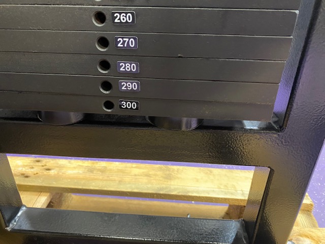 IMG_9319 Bodymasters Overhead Tricep Extension- EXTREMELY RARE