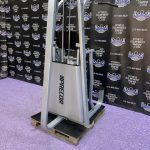 Precor Icarian Assisted Dip & Pull-up Machine Precor Icarian Assisted Dip & Pull-up Machine