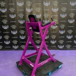 Cybex VKR Dip & Leg Raise – Newest Model