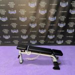 Nautilus Star Trac FID Flat Incline Decline Adjustable Benches