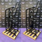 Life Fitness Pro Assisted & Free Weight Dip & Pull-up Combo