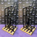 Life Fitness Pro Assisted & Free Weight Dip & Pull-up Combo