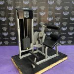 Life Fitness Abdominal Crunch & Back Extension Combo