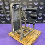 Life Fitness Pro 2 Back Extension