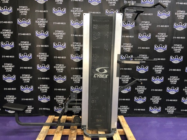 web10-21 Cybex Low Row and Standing Assisted Dip and Pull-Up