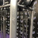 Life Fitness Signature Series MJ8 Dual Adjustable Pulley 8 Station Jungle Gym w/Assisted Dip & Pull-up – 2019 Model LIKE NEW