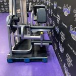 Cybex Eagle Leg Extension & Leg Curl Matching Pair w/ROM