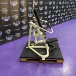 Cybex Plate Loaded Tricep Arm Extension – RARE