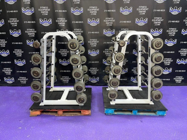 web13-2-6.jpg Ivanko 20-110 lb. EZ Curl & Straight Bar Package w/Precor Icarian Racks