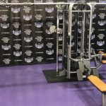 Life Fitness Signature Series MJ8 Dual Adjustable Pulley 8 Station Jungle Gym w/Assisted Dip & Pull-up – 2019 Model LIKE NEW