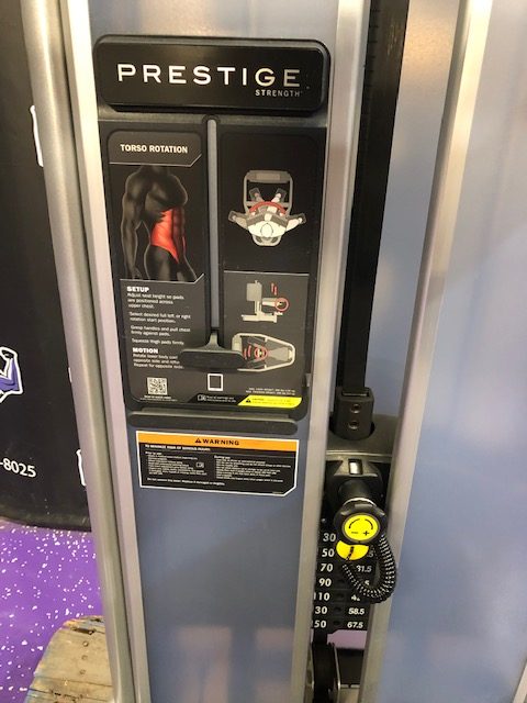 web15-11 Cybex Prestige Torso Rotation