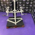 Cybex Plate Loaded Tricep Arm Extension – RARE