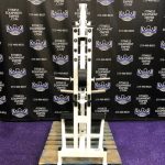 Magnum Plate Loaded Perfect Squat & Calf Combo Machine – RARE