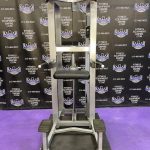 Life Fitness Pro 2 Assisted & Free Weight Dip & Pull-up Machine