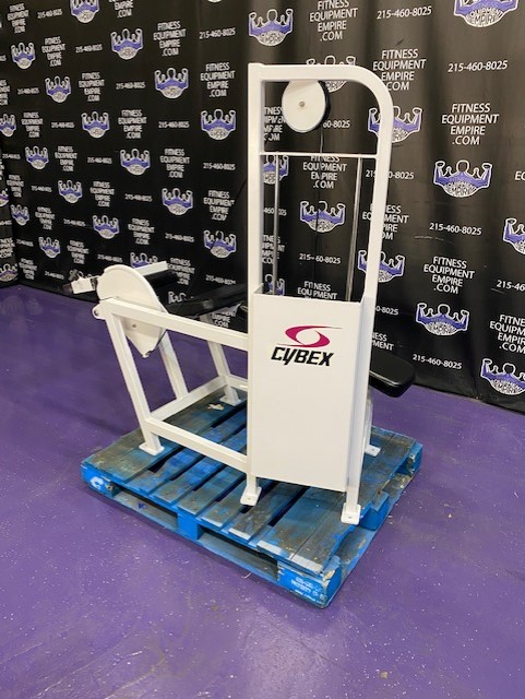 web15-3 Cybex VR Prone Lying Leg Curl