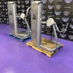 Cybex VR3 Bicep & Tricep Matching Pair Cybex VR3 Bicep & Tricep Matching Pair