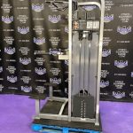 Life Fitness Pro 2 Assisted & Free Weight Dip & Pull-up Machine