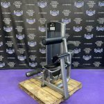 Life Fitness Signature Series Platinum Back Extension