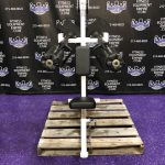 KING Seated Lateral Raise – RARE