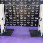 Cybex Dual Adjustable Pulley Cable Crossover