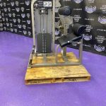 Life Fitness Pro 2 Back Extension