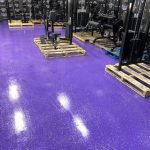 Life Fitness Pro Series 10 Unit Total Body Strength Circuit Life Fitness Pro Series 10 Unit Total Body Strength Circuit