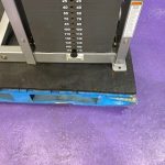 Life Fitness Pro 2 Assisted & Free Weight Dip & Pull-up Machine