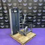 Life Fitness Signature Series Platinum Back Extension