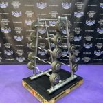 20-110 lb. Troy EZ Curl Bar Set w/Life Fitness Signature Rack