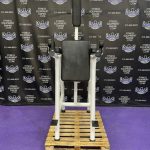 Magnum Dual Dip Pull-up VKR Leg Raise Power Tower