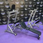 Hammer Strength Platinum Core Station Abdominal, Oblique, Serratus & Low Back