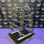 20-110 lb. Troy EZ Curl Bar Set w/Life Fitness Signature Rack