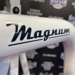 Magnum Dual Dip Pull-up VKR Leg Raise Power Tower