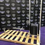 Life Fitness Pro Dual Pulley Low Row 300 lb. Stack