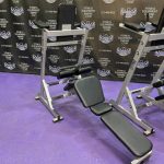 Hammer Strength Platinum Core Station Abdominal, Oblique, Serratus & Low Back