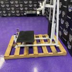 Cybex Rotary Multi Hip & Glute Cybex Rotary Multi Hip & Glute