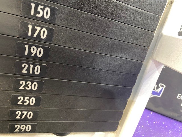 web25-12 Cybex VR2 Leg Extension w/300 lb. Stack