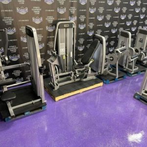 Cybex Eagle 11 unit platinum strength circuit