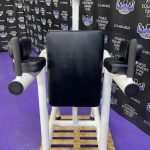 Magnum Dual Dip Pull-up VKR Leg Raise Power Tower