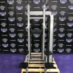 Nautilus Star Trac Assisted & Bodyweight Dip & Pull-up Combo w/Swivel Bars