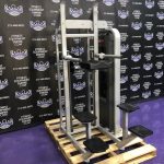 Nautilus Star Trac Assisted & Bodyweight Dip & Pull-up Combo w/Swivel Bars