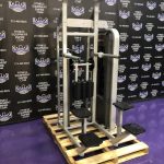 Nautilus Star Trac Assisted & Bodyweight Dip & Pull-up Combo w/Swivel Bars