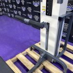 Cybex Standing Assisted Dip & Pull-up Machine