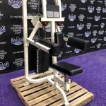 Life Fitness Pro Lateral Raise