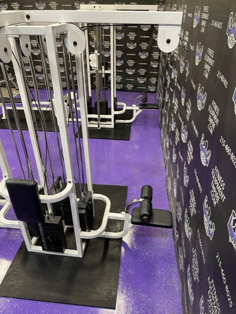 web3-3-4.jpg Life Fitness Dual Pulley 8 Stack Jungle Gym w/300 lb. Stacks