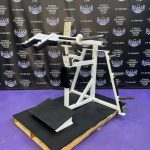 Bodymasters Power Systems PS 300 Plate Loaded Squat Machine – RARE