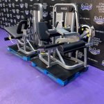 Cybex Eagle Leg Extension & Leg Curl Matching Pair w/ROM